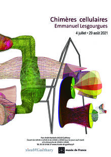 "Chimères cellulaires"